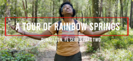 Tour Rainbow Springs State Park in Dunnellon, Florida